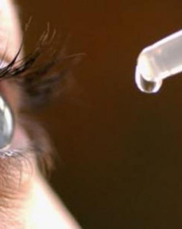 15349b54-ffc7-444e-b42b-aa69040e975b (1)