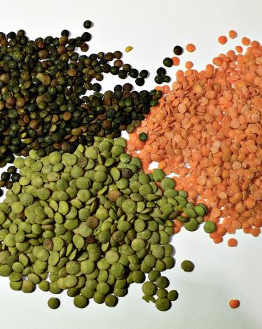 3_types_of_lentil