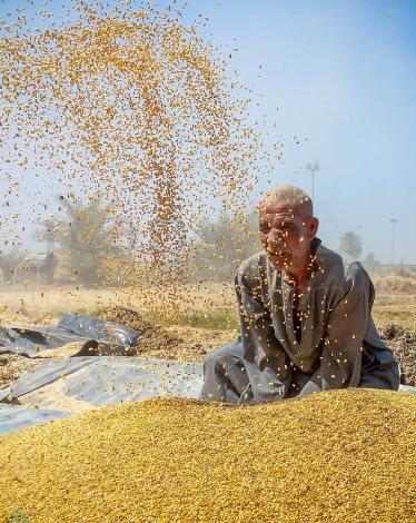 1882464218425001404291