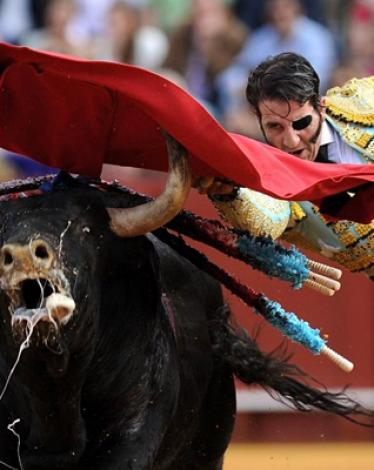 مصارعة-الثيران