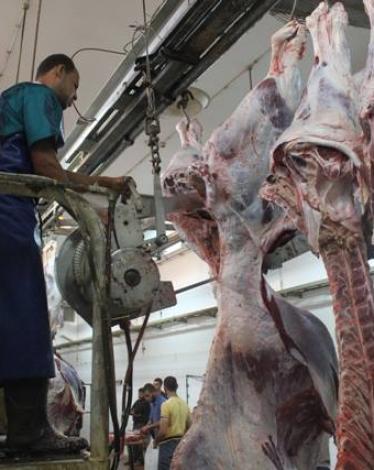 دائرة البيطرة ببلدية غزة تكثف جهود مراقبة محلات الجزارة