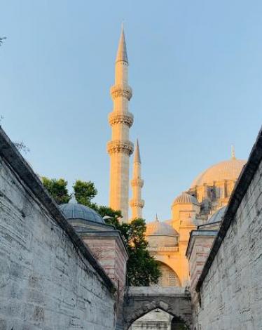 cc167e9e-54c7-469e-816f-4582ce7cc92e (2)