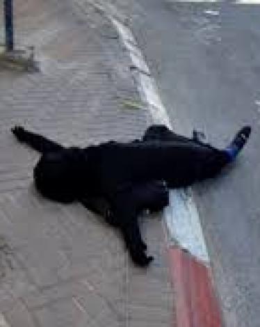 تنزيل