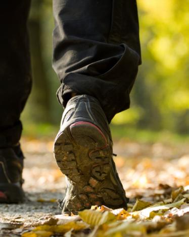 5-15-14-walking-kidneyistock_000014635914small