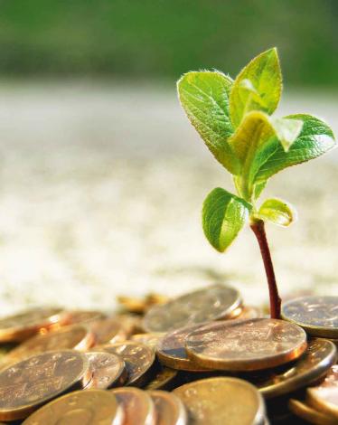 صدقة الفطر ثمانية شواقل