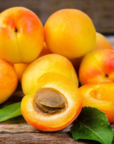 ukrainu-navodnili-deshevye-abrikosy-e1478955655265