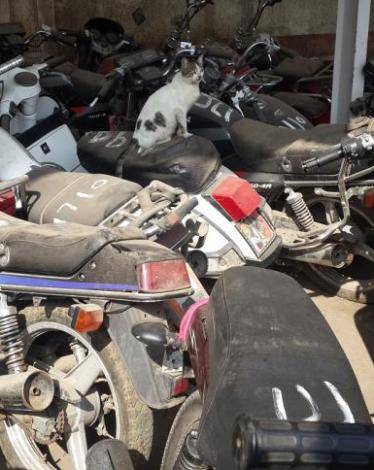 ضبط دراجات نارية بالخليل