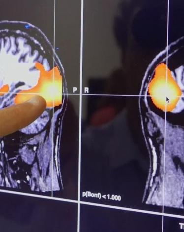 022119PXX___022119PXX_image