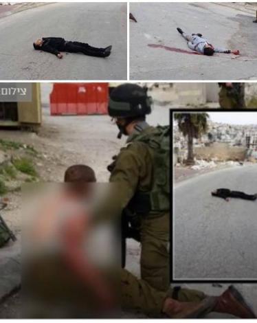 12516428_484886825031022_1889200568_n