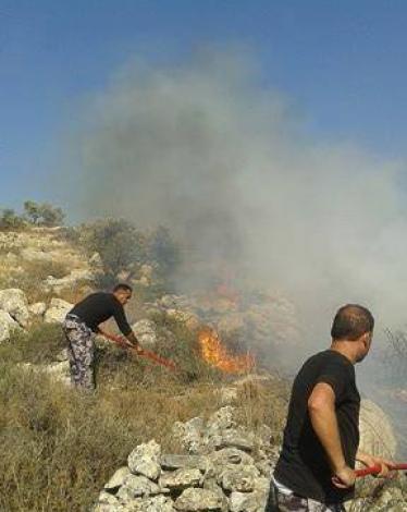 13492954_1269176646440732_623757286_n