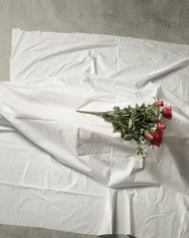 bef8cf71-6dbd-41ed-a765-fb5d2b77c853_16x9_1200x676