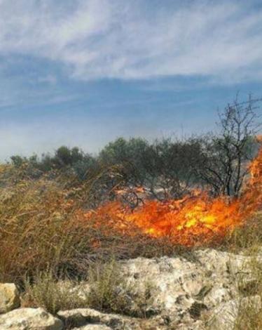 احتراق بطولكرم