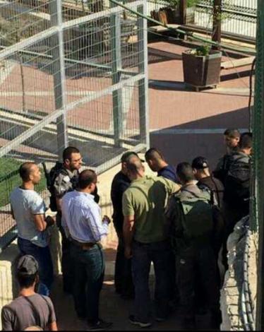 12003410_10153627547849919_1848180054769023385_n