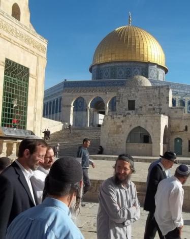 171 مستوطنًا اقتحموا الأقصى خلال نوفمبر