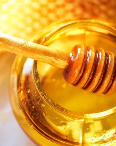 عسل-نحل