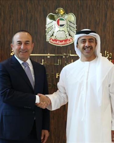وزير الخارجية الإماراتي مع وزير الخارجية التركي