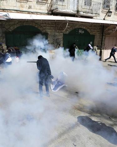 10626521_1313987485310335_1376926034359154495_n