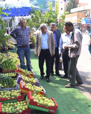 بدء تصدير الجوافة من الضفة إلى الأردن