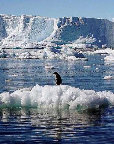 قطعة من الجليد بحجم الهند تختفي من القطبين