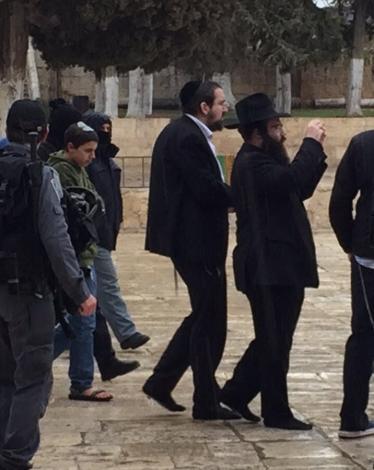 مستوطنون يجددون اقتحامهم للأقصى وتحذيرات من فعاليات مشبوهة غدا
