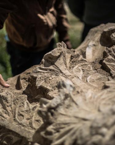 20160403-2-15083706-6888096-web-jpg-27459814651194945