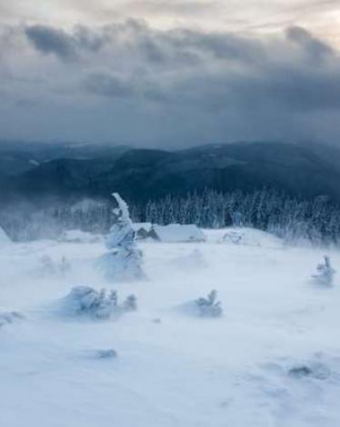 5a1bf09c95a5975e0c8b4567