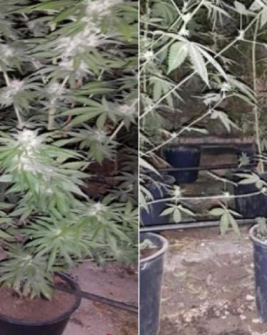 ضبط 6 كيلو من المواد المخدرة بجنين