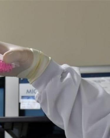 _98562740_b9a06009-f9dc-4fb0-8e7e-bd94e94f29ed