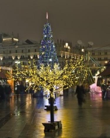 11542308-moscow-russia-december-14-2012-christmas-trees-on-theatre-square