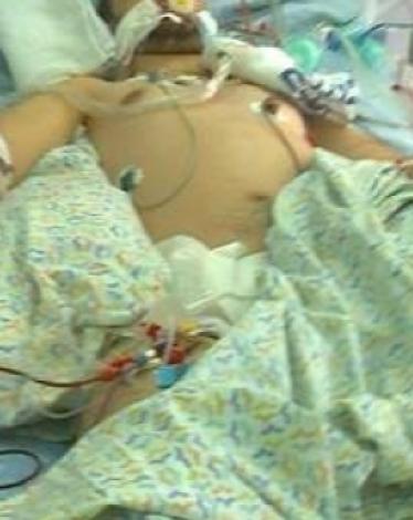 هيئة الأسرى: إجراء عملية قسطرة للأسير "حرب"