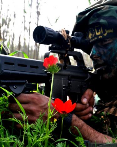 ab390289d8c7a9e4ca0397d35623972c