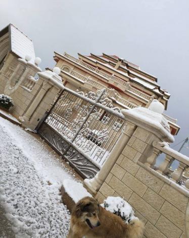 12631522_1293456987363385_17526355425175649_n