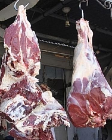 16914453474fdf14db3d670293ccf16f3b58f785bb-1qarfo8qpjy1lghptc66ihs49nv9acumfesc12cpldtw