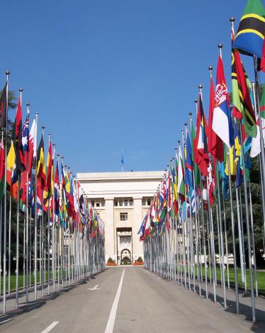 un-flags
