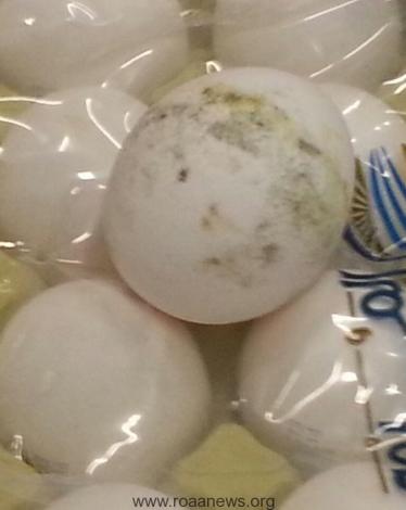 wpid-img-20160323-wa0226