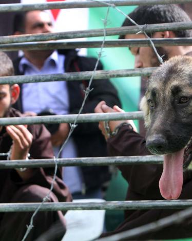 f167cc067dcdd21f88c6386139e03fa0