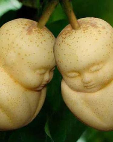 56a88898c3618814588b45a9