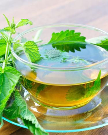 3182-nettle-tea