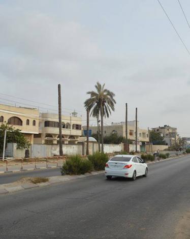 12358038_890257331089407_1368864824_n