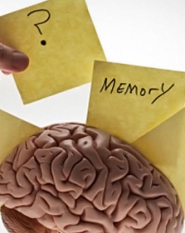 566fd91fc3618848418b45d0