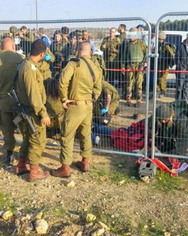 12239487_1644885285769449_3603289108676953673_n