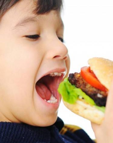 bigstock-Burger-Fast-Food-7057037_522467_large