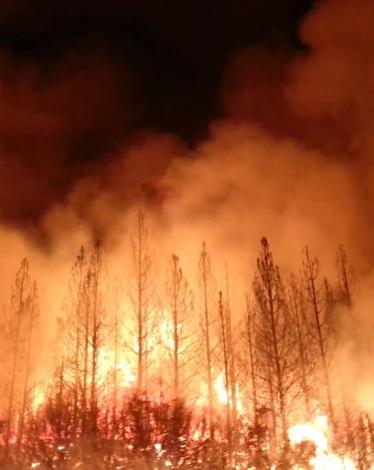 181b428c-b735-421e-a5bf-d27592b1cf55