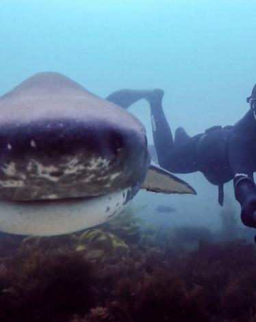 pretty_scuba_selfies