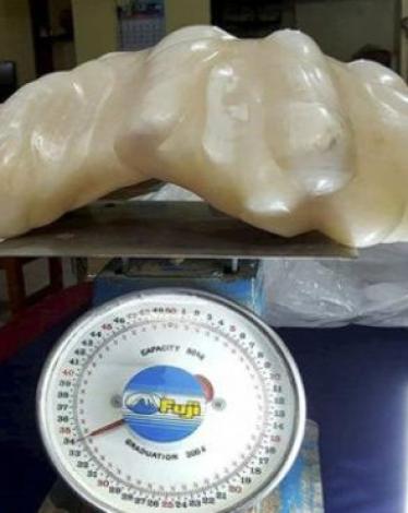 أكبر لؤلؤة في العالم