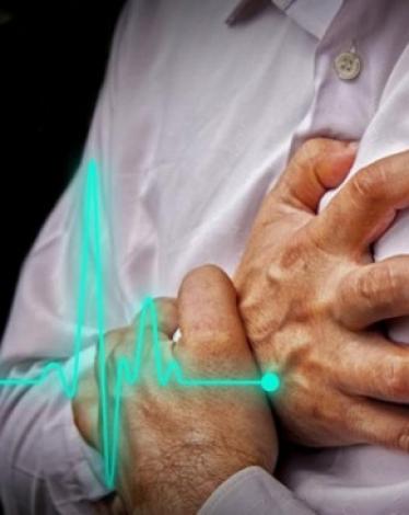 50749-عضلة-القلب