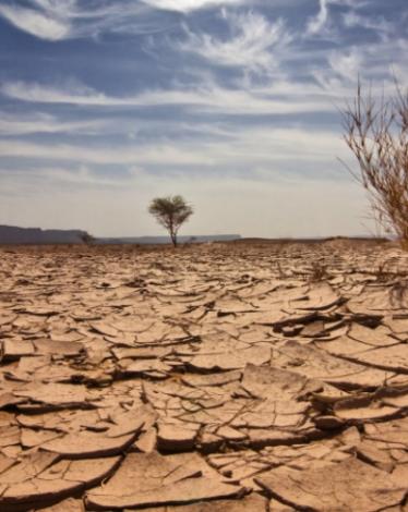 تغير المناخ 