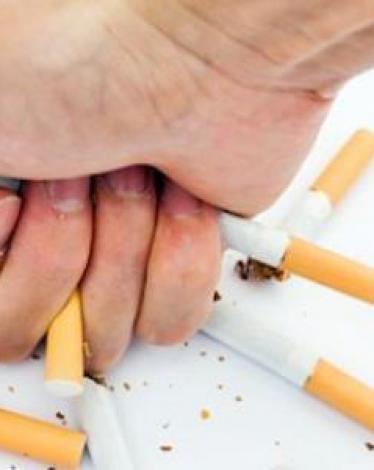 1ec5feba-d55f-4bc2-8229-76100d8fee29