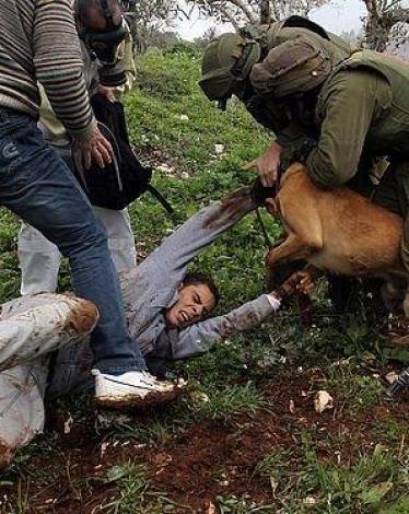 version4_view_1331912873