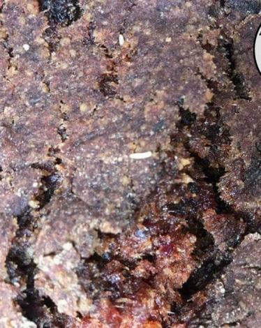 23758258_1840311809331333_404918346_n